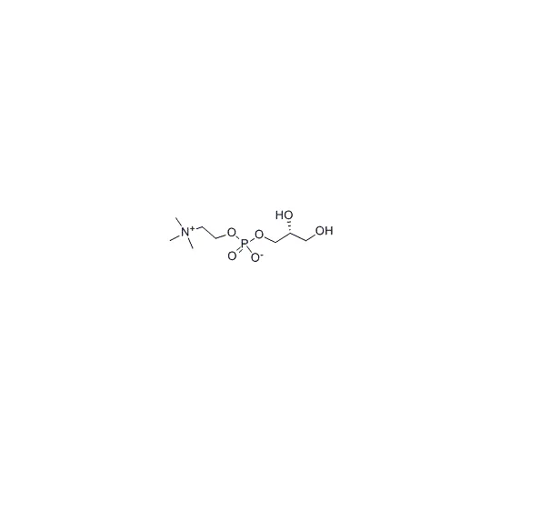 Choline Glycerophosphate
