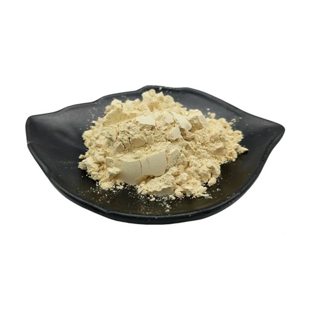 Ferrous Sulphate Monohydrate