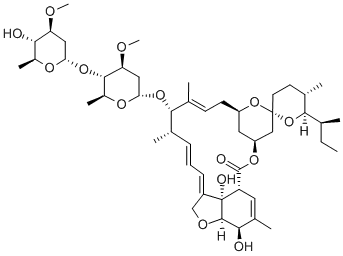 Ivermectin